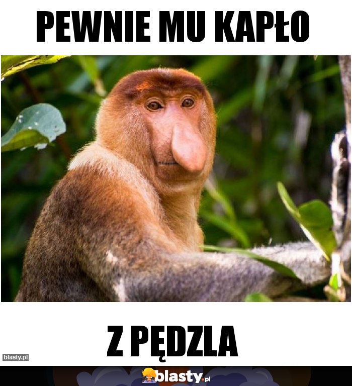 Pewnie mu kapło