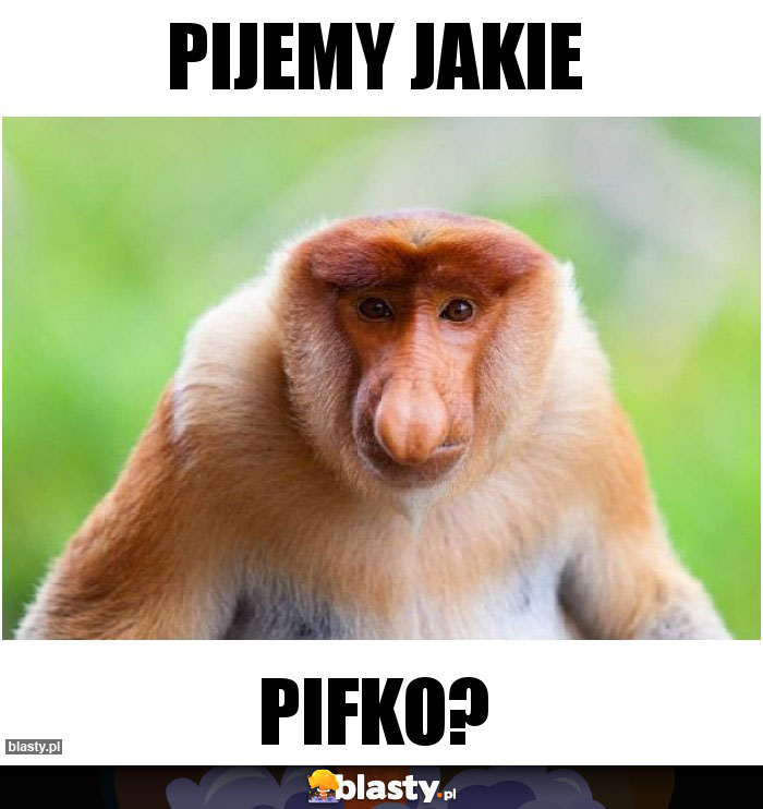Pijemy jakie