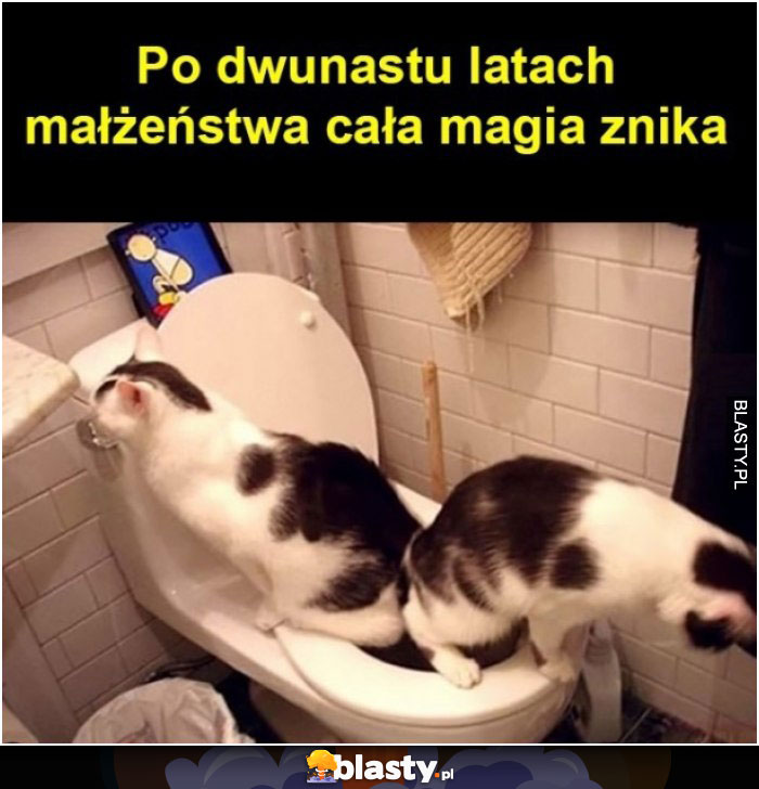 Po 12 latach małżeństwa cała magia znika