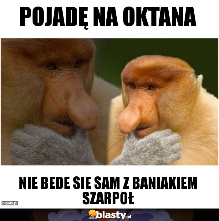 POJADĘ NA OKTANA