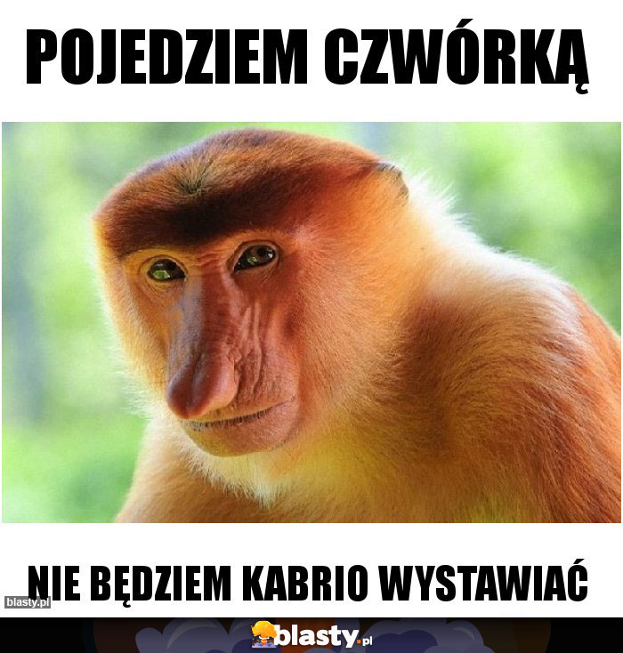 POJEDZIEM CZWÓRKĄ