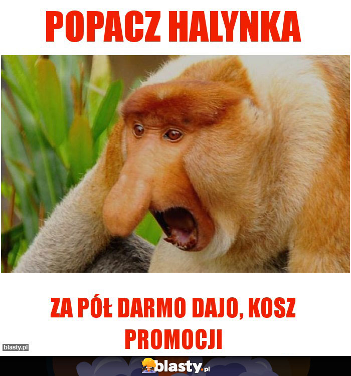 Popacz Halynka