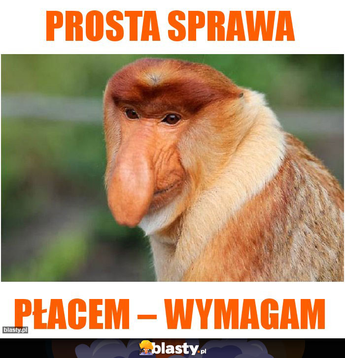 PROSTA SPRAWA