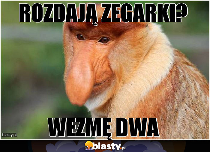Rozdają zegarki?