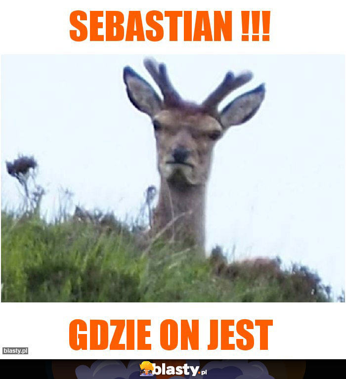 Sebastian !!!