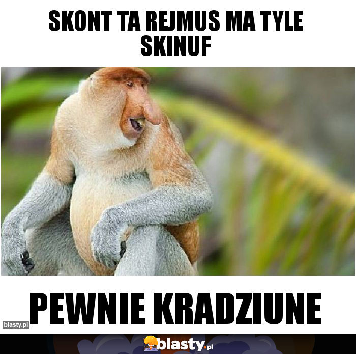 SKONT TA REJMUS MA TYLE SKINUF