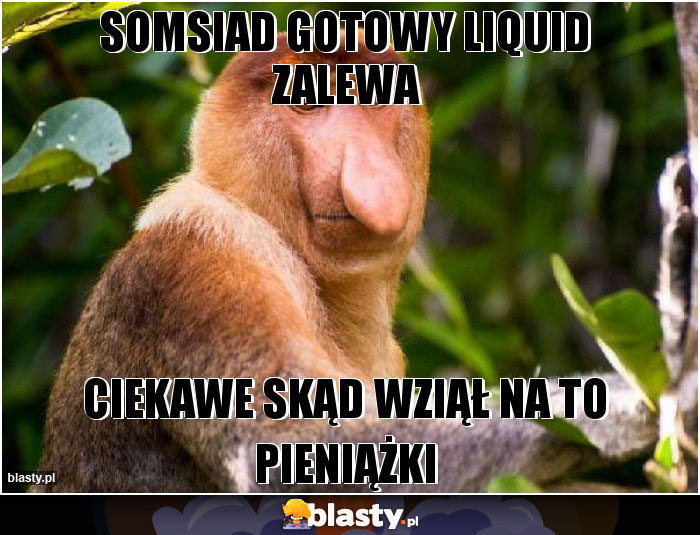 SOMSIAD GOTOWY LIQUID ZALEWA