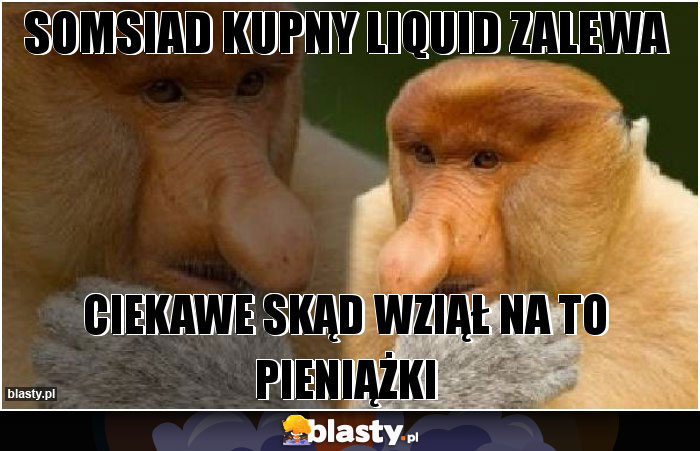 SOMSIAD KUPNY LIQUID ZALEWA