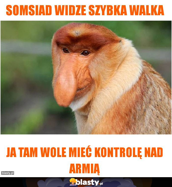 SOMSIAD WIDZE SZYBKA WALKA