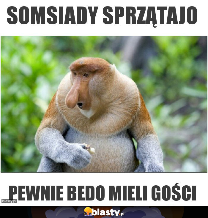 somsiady sprzątajo