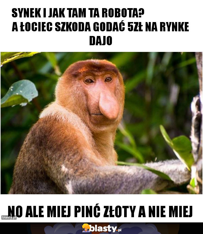 Synek i jak tam ta robota?                       A łociec szkoda godać 5zł na rynke dajo