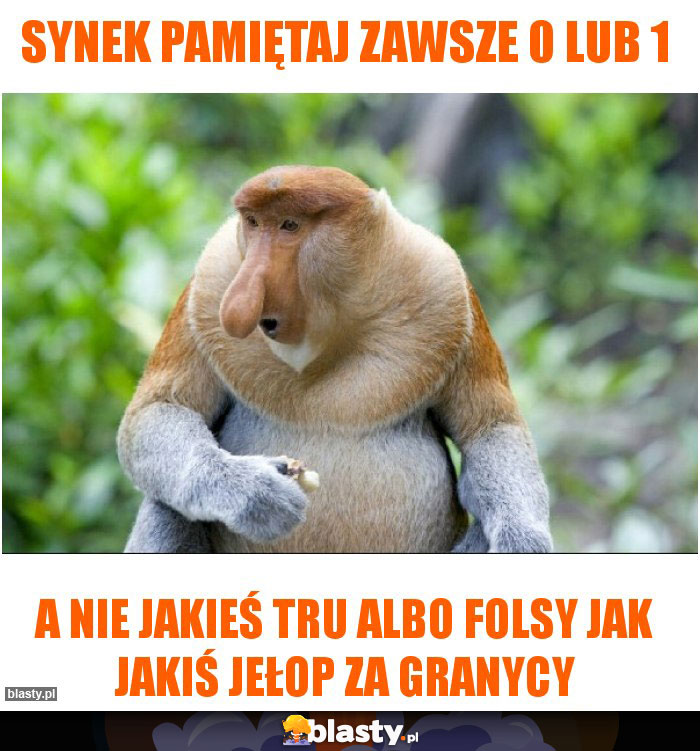 Synek pamiętaj zawsze 0 lub 1