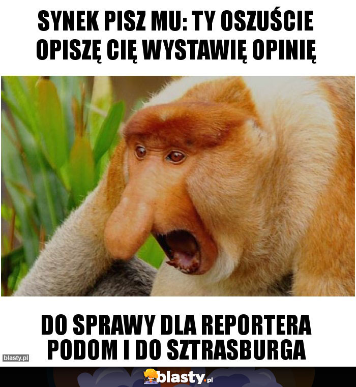 Synek pisz mu: Ty oszuście opiszę Cię wystawię opinię