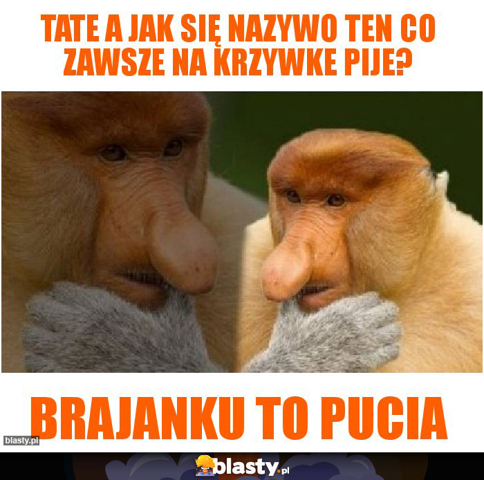 Tate a jak się nazywo ten co zawsze na krzywke pije?
