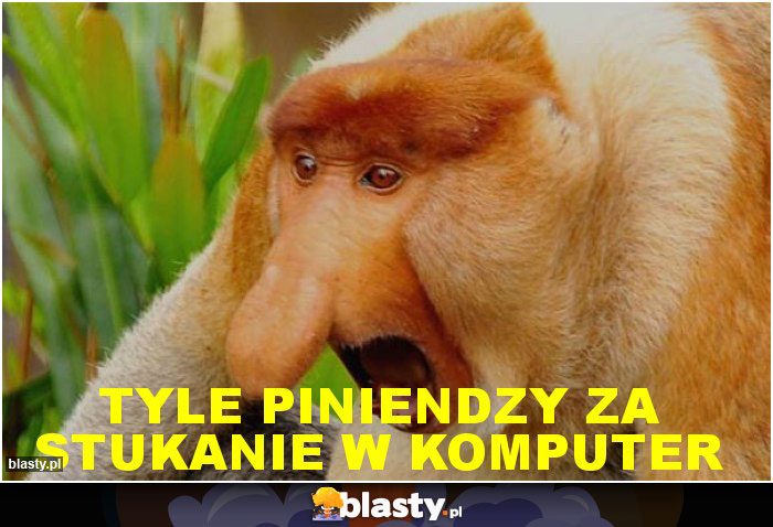 TYLE PINIENDZY ZA STUKANIE W KOMPUTER