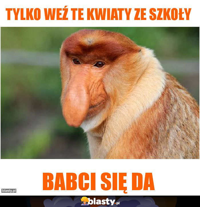 Tylko weź te kwiaty ze szkoły