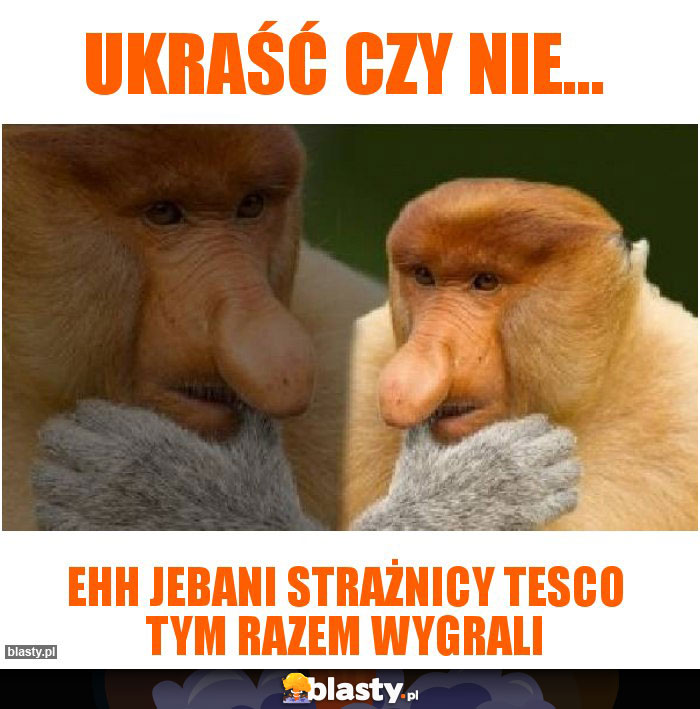Ukraść czy Nie...