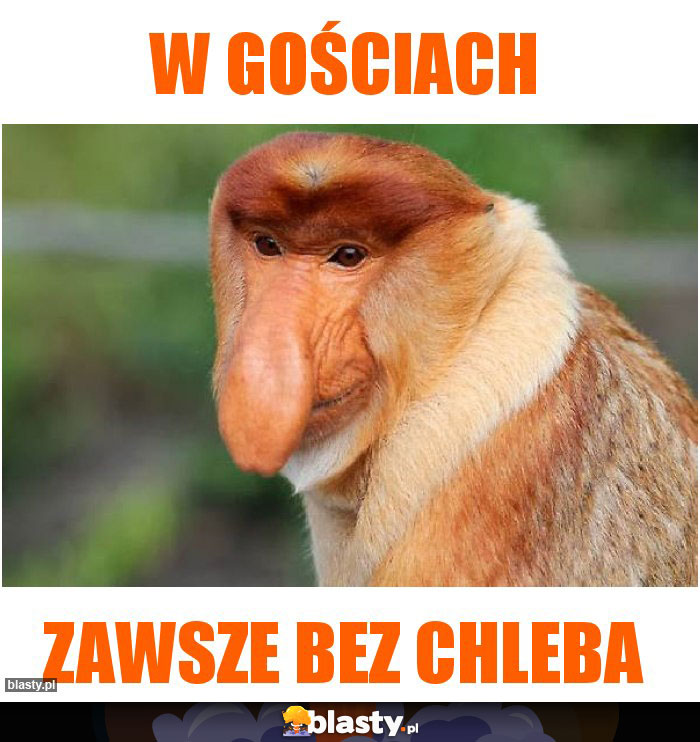 W gościach