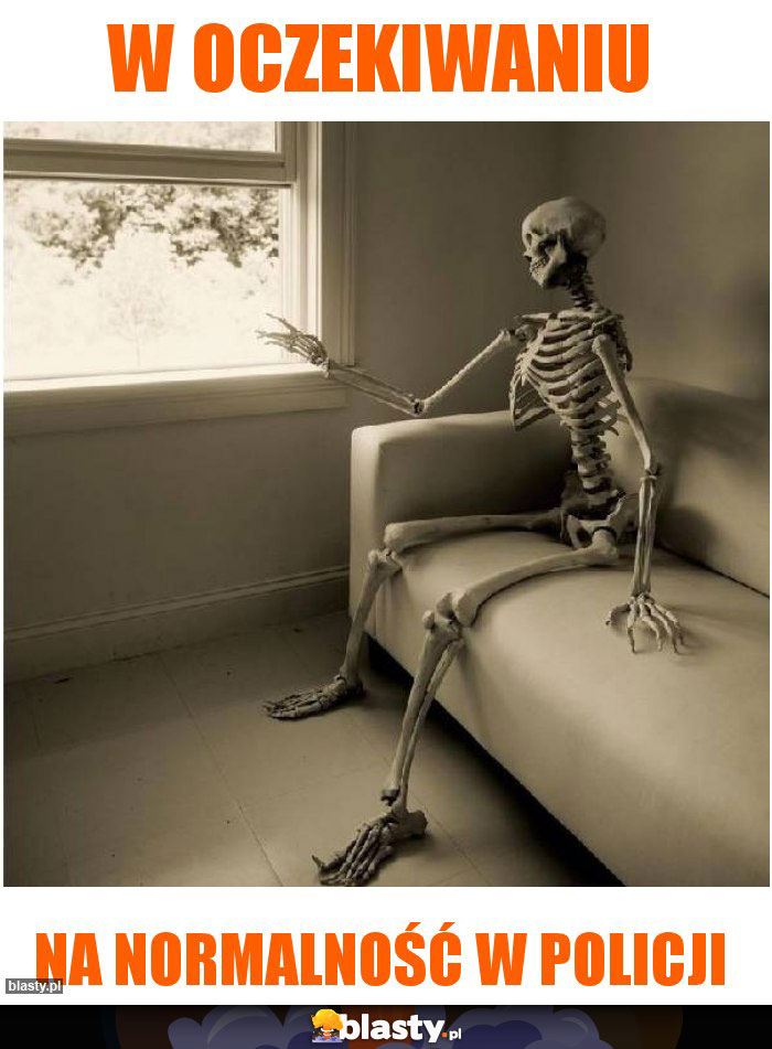 W oczekiwaniu