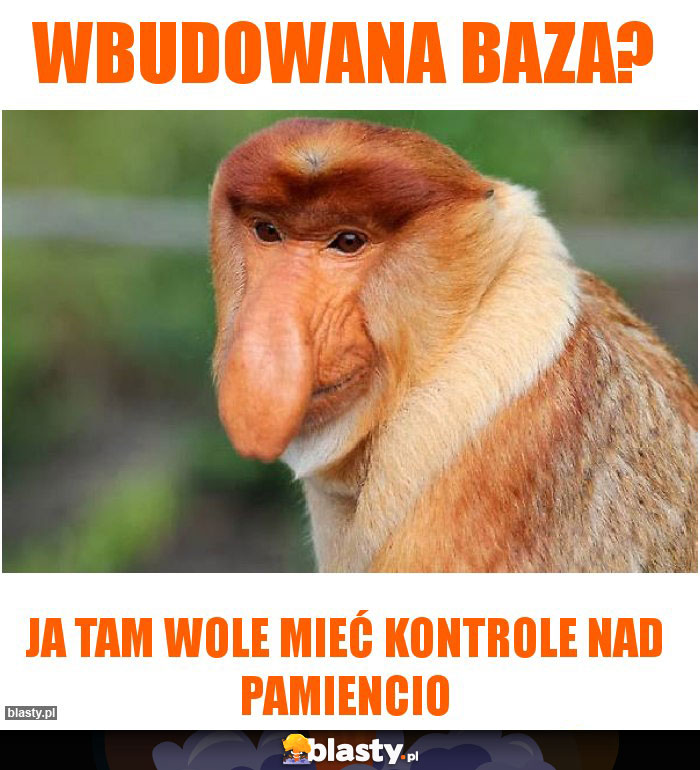 Wbudowana baza?