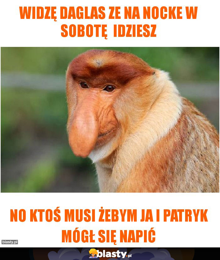 Widzę daglas ze na nocke w sobotę  idziesz