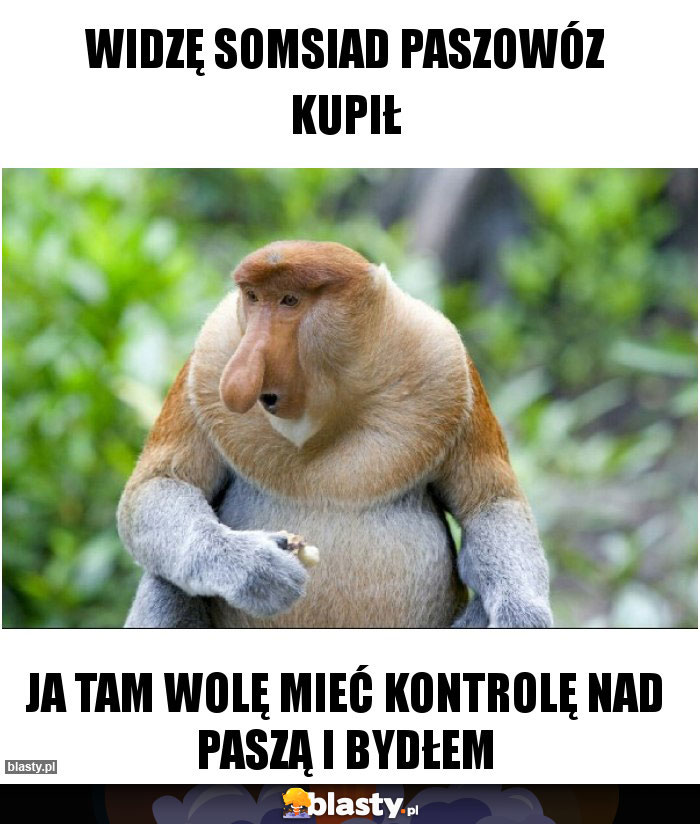 Widzę somsiad paszowóz kupił