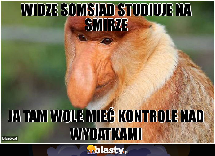 WIDZE SOMSIAD STUDIUJE NA SMIRZE