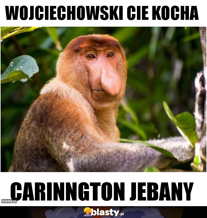 Wojciechowski Cie kocha