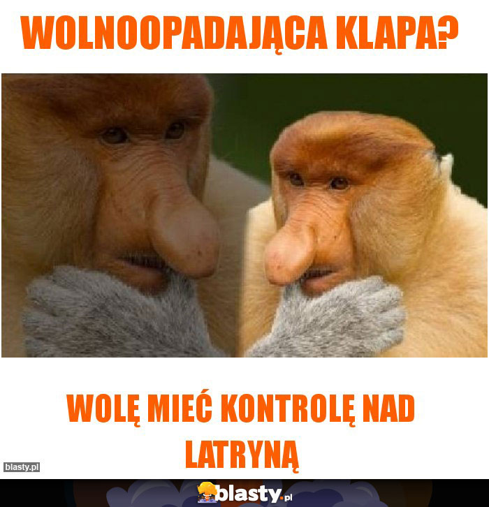 WOLNOOPADAJĄCA KLAPA?