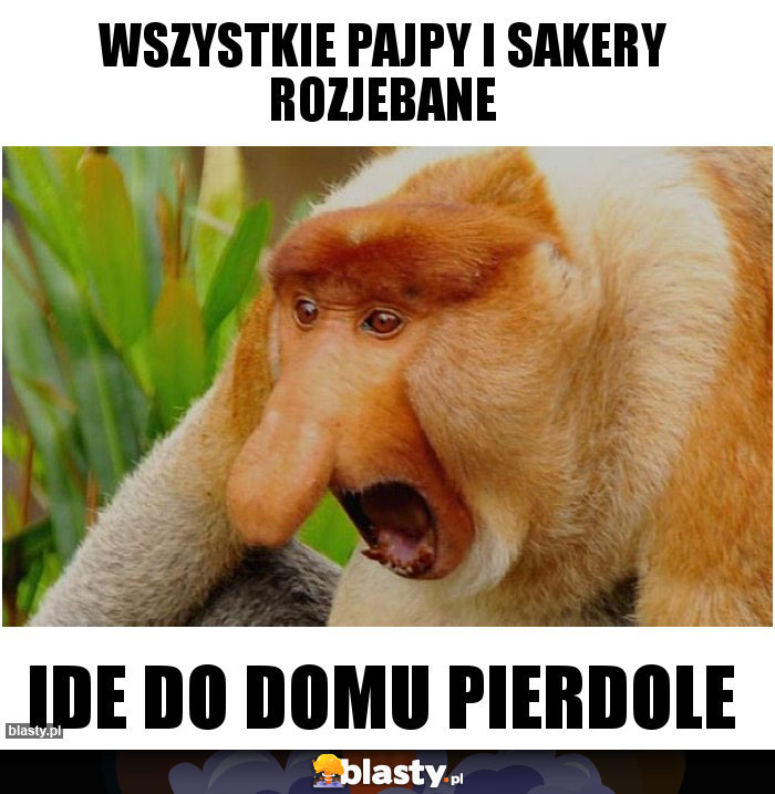 Wszystkie pajpy i sakery rozjebane