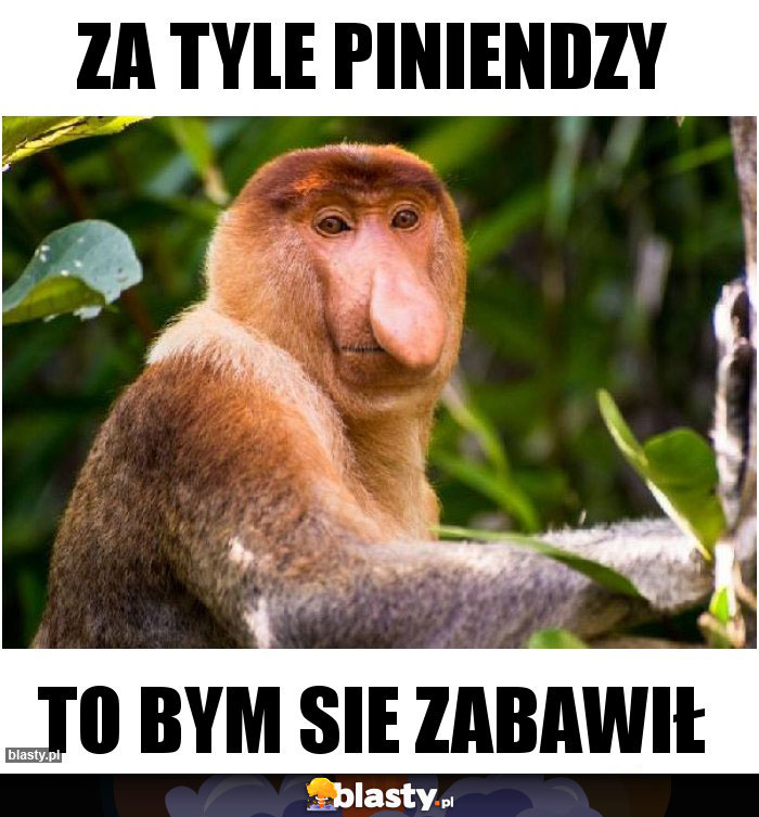 Za tyle piniendzy