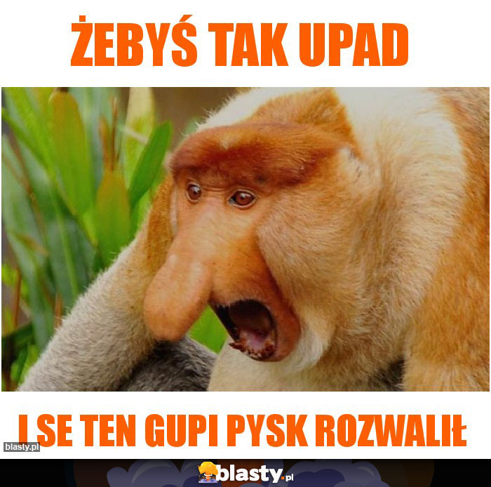 Żebyś tak upad