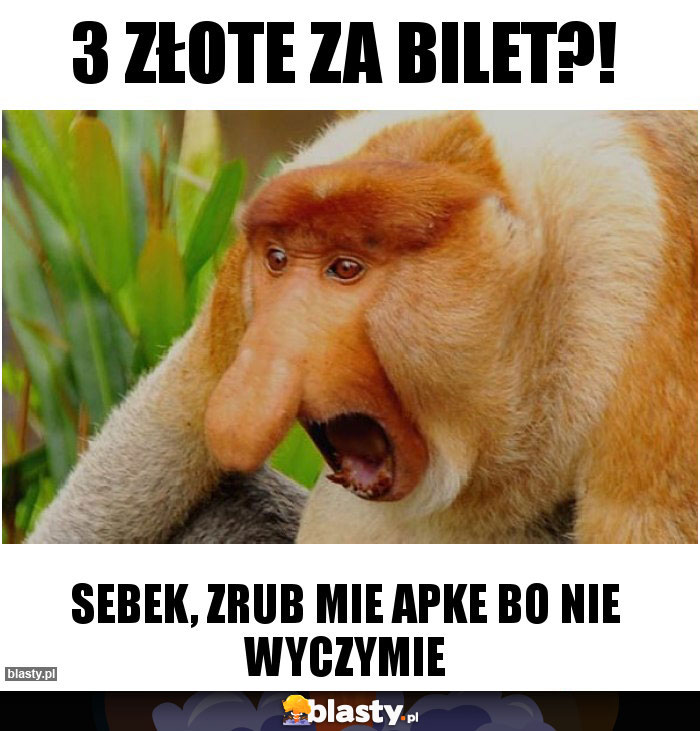 3 złote za bilet?!