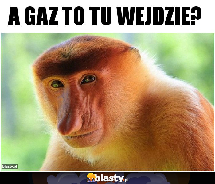 A gaz to tu wejdzie?