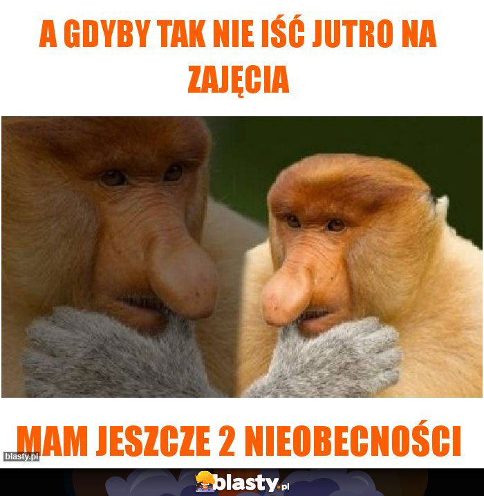 A gdyby tak nie iść jutro na zajęcia