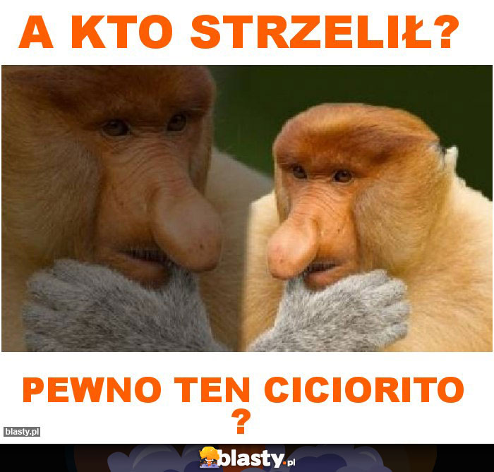A kto strzelił?