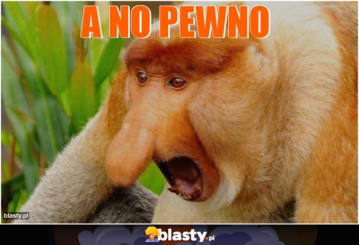 A No pewno