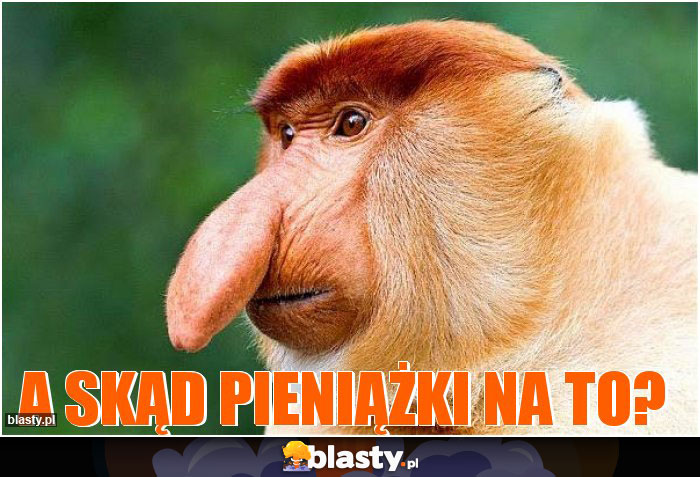 A skąd pieniążki na to?