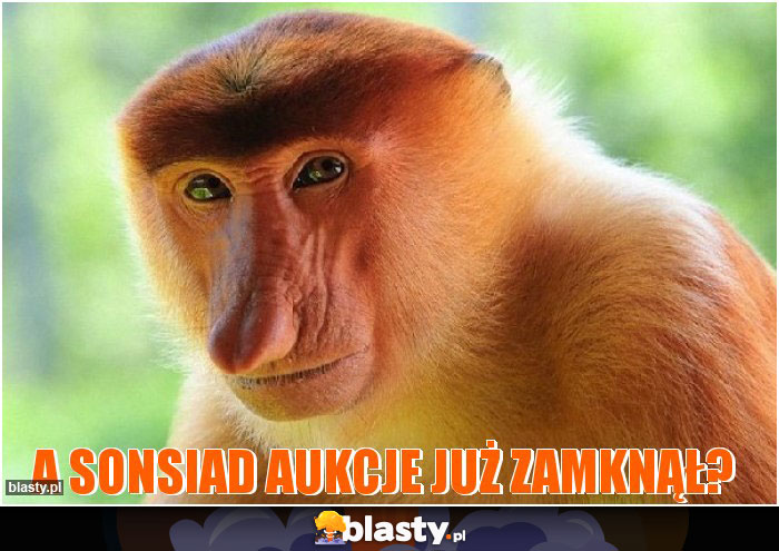 A SONSIAD AUKCJE JUŻ ZAMKNĄŁ?