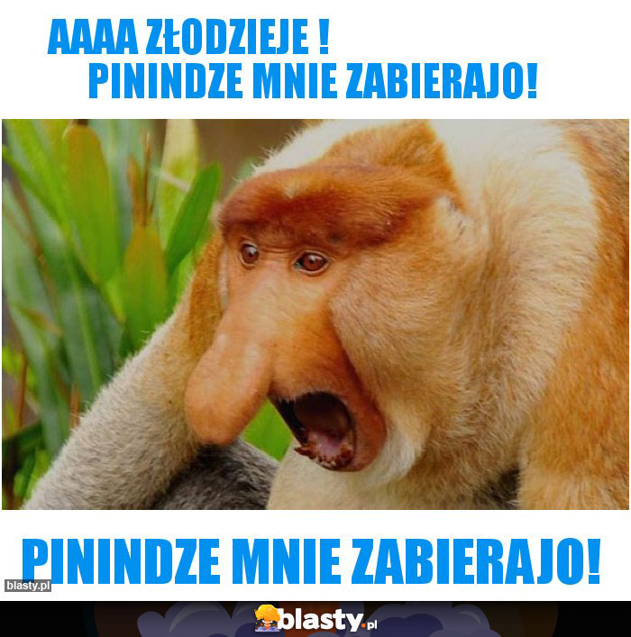 aaaa złodzieje !                               pinindze mnie zabierajo!