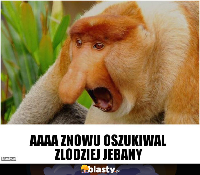 AAAA ZNOWU OSZUKIWAL ZLODZIEJ JEBANY