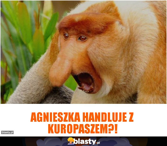 Agnieszka handluje z kuropaszem?!