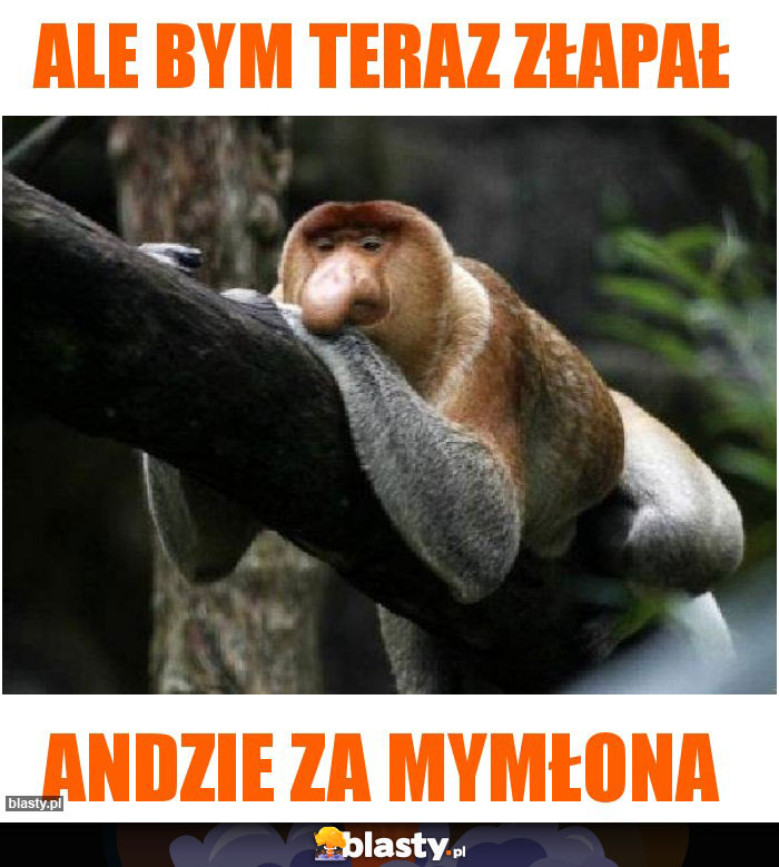 Ale bym teraz złapał