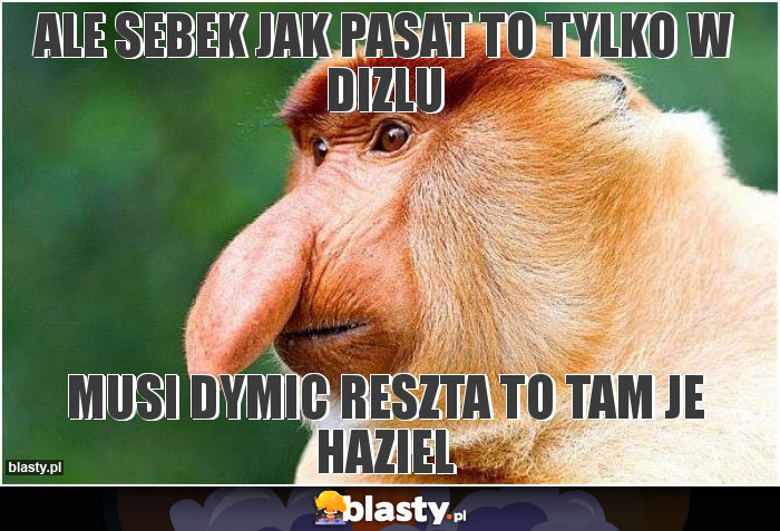 ALE SEBEK JAK PASAT TO TYLKO W DIZLU