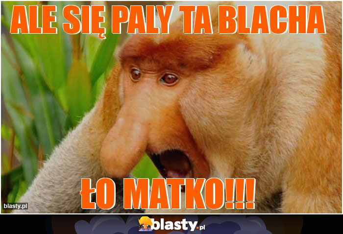 ale się paly ta blacha