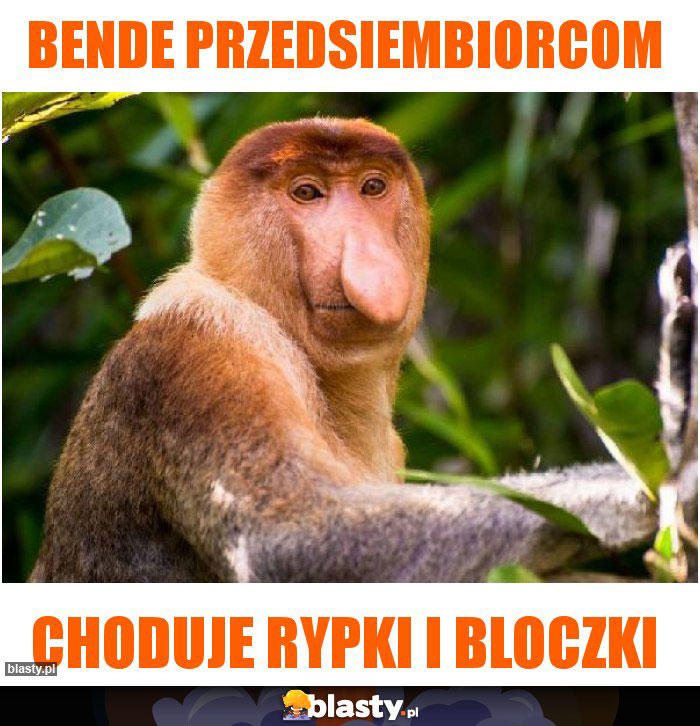 Bende przedsiembiorcom