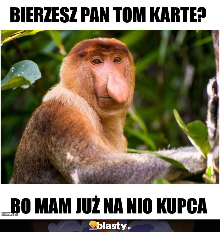 BIERZESZ PAN TOM KARTE?