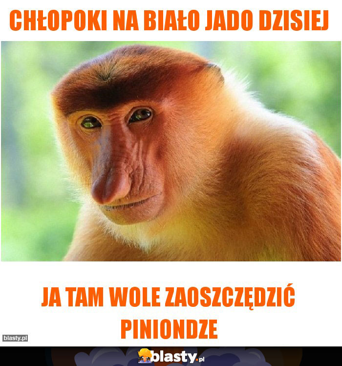 CHŁOPOKI NA BIAŁO JADO DZISIEJ
