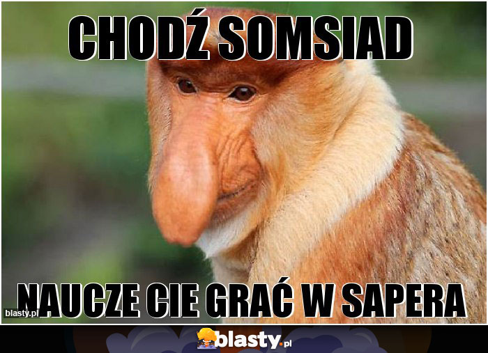 Chodź somsiad