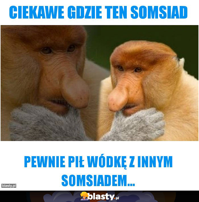 Ciekawe gdzie ten somsiad